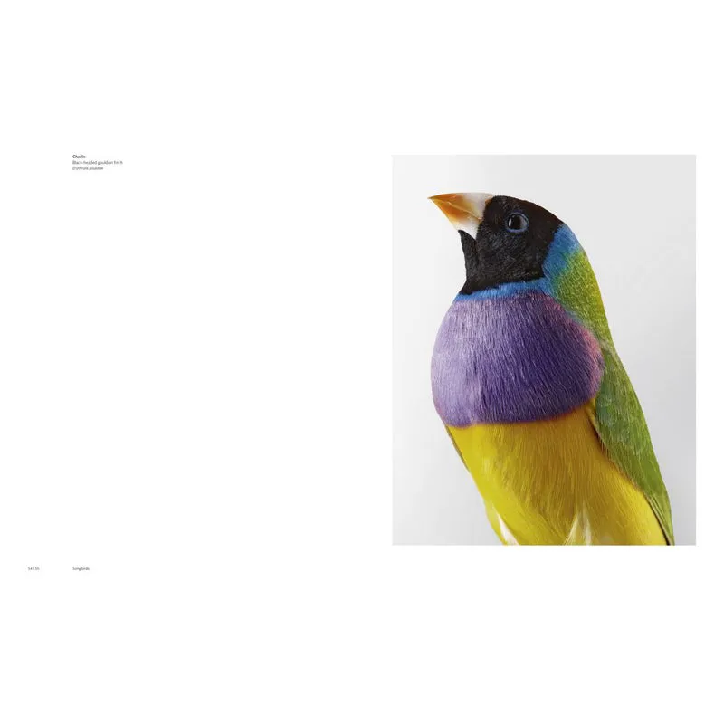 Birdland
