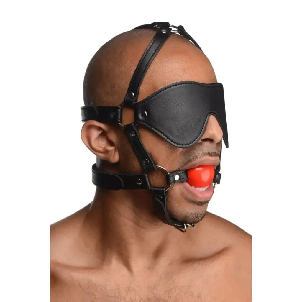 Blindfold Harness And Red Ball Gag