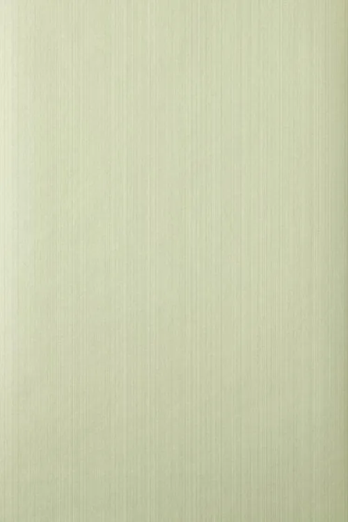 Farrow & Ball Wallpaper Drag DR645