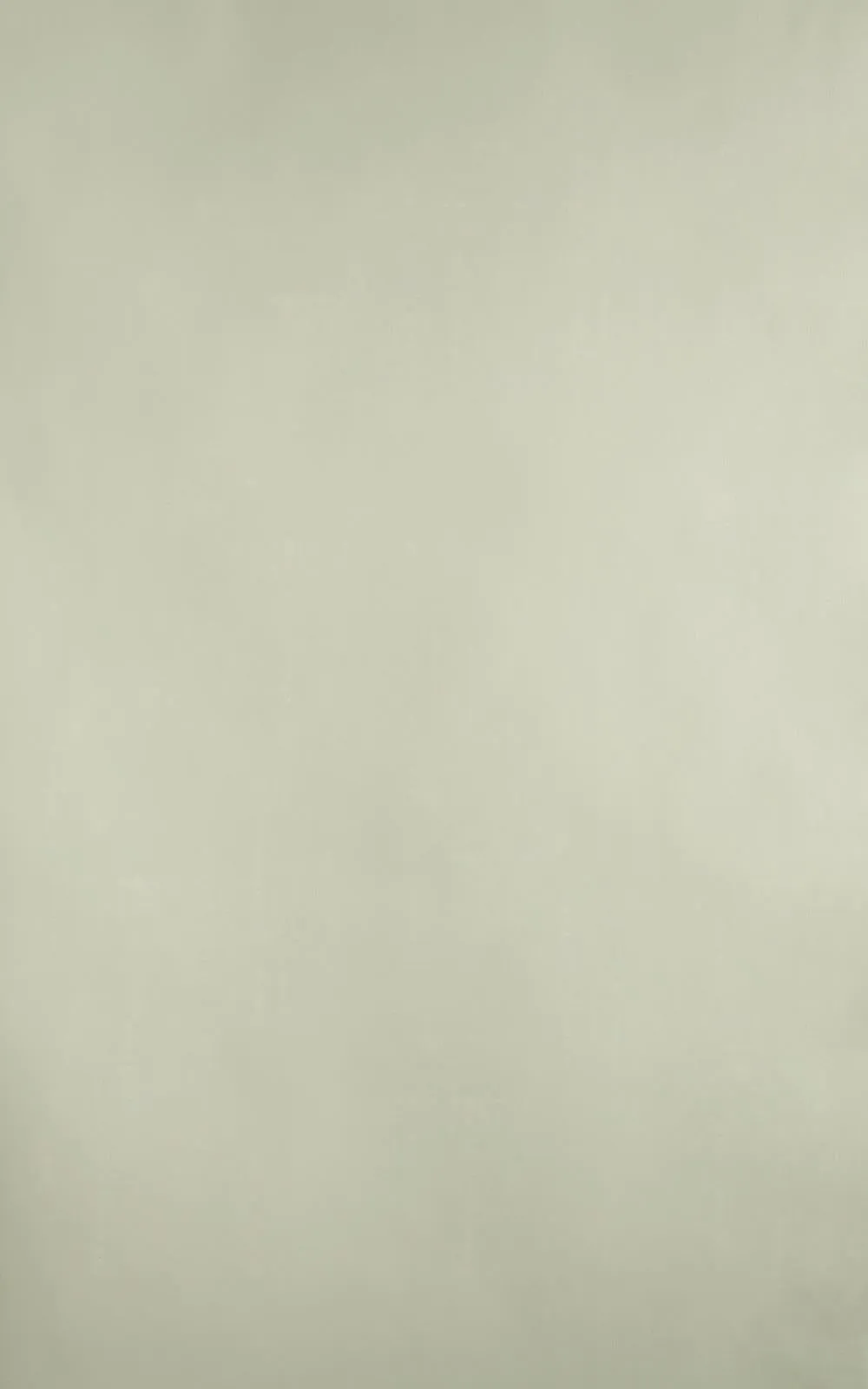 Farrow & Ball Wallpaper Plains BR 3408
