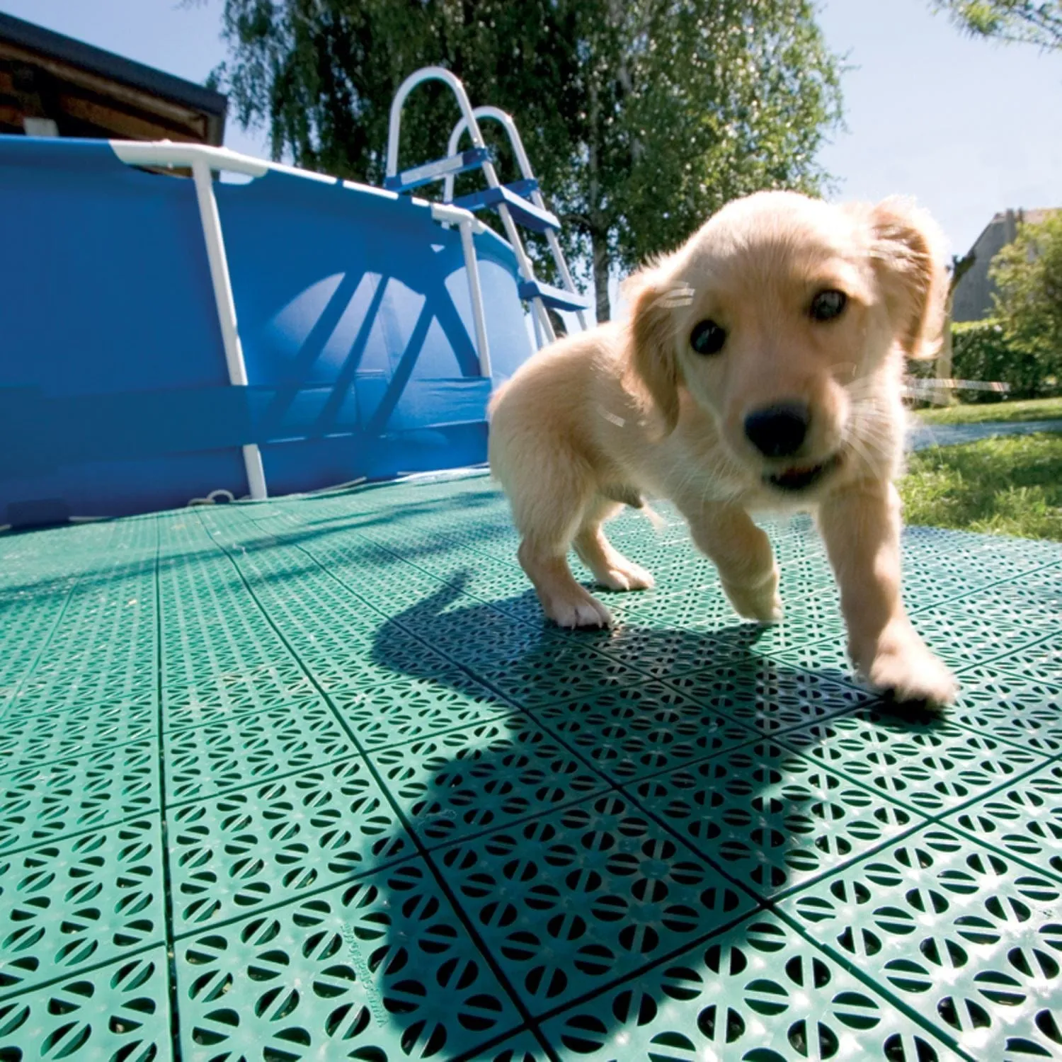 Riverstone | MONT 12' Greenhouse Interlocking Flooring System - 31 Tiles Kit